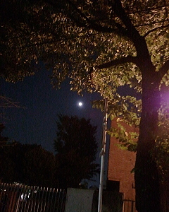Fullmoon